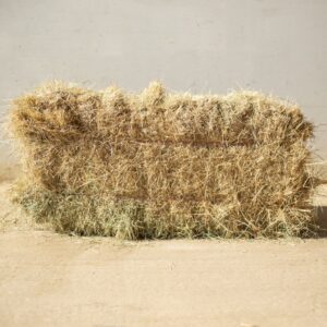 Small Meadow Hay Bales (x10)